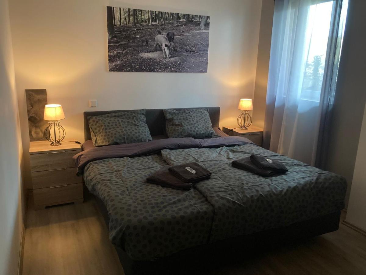 Comfortable 4-Person Apartments Winterberg Medebach Kültér fotó